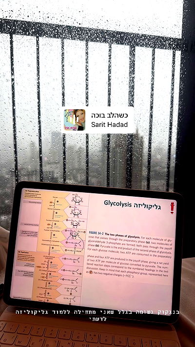 kesemgreenyer kesemgreenyer archive video