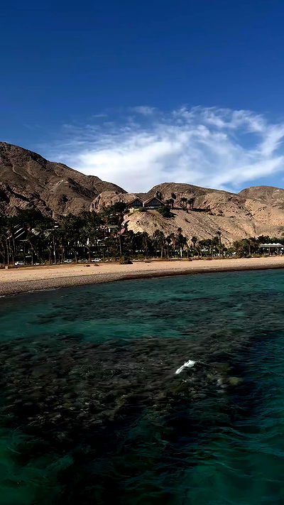 alisa.paigin alisa.paigin archive video