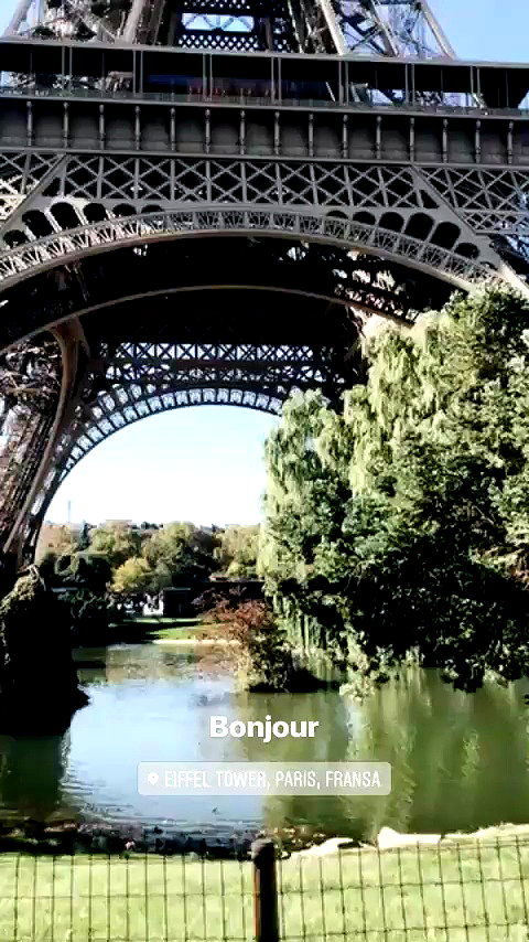 noa_mendel_ archive video preview