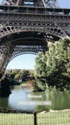 noa_mendel_ Altpins Profile Picture