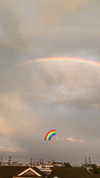 sydney_melman Altpins Profile Picture