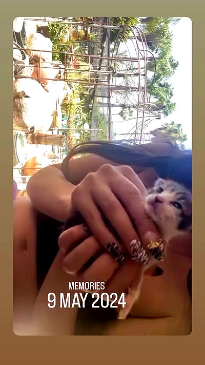 yam_adler yam_adler archive video