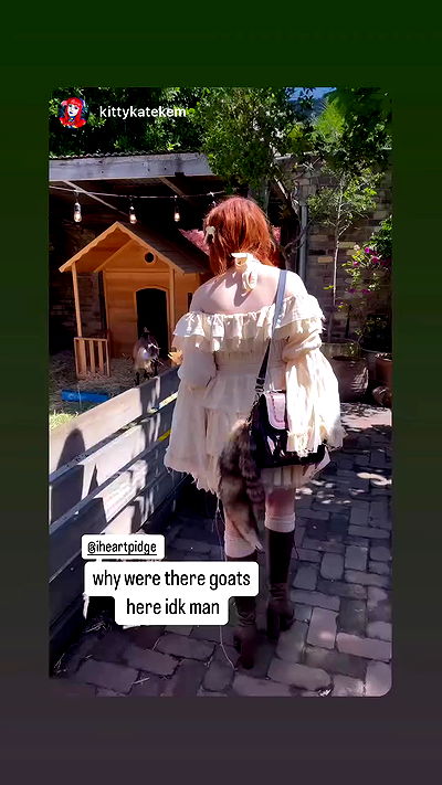 iheartpidge iheartpidge archive video