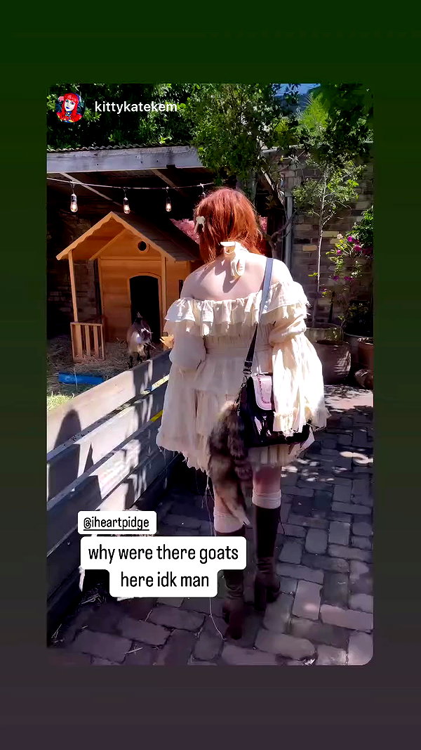 iheartpidge archive video preview