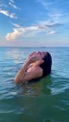 caammmyyy Altpins Profile Picture