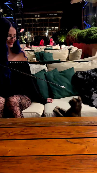 annfigma annfigma archive video