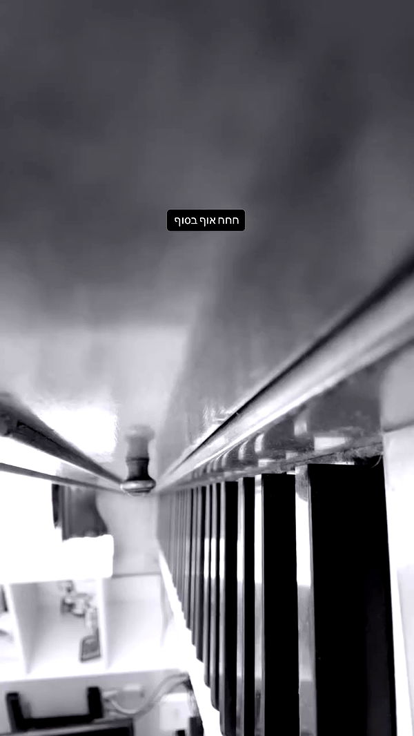 moonliliaght archive video preview