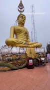 shelly_roberin Altpins Profile Picture