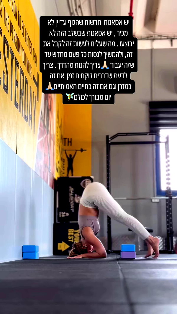 liad.arazi archive video preview