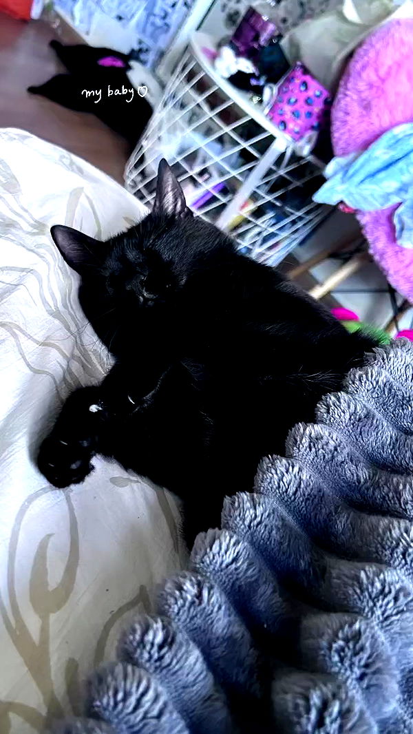 hellokittyangel666 archive video preview