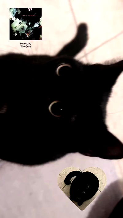 juliaelzz juliaelzz archive video