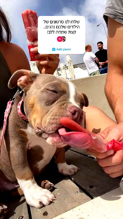 kesemgreenyer kesemgreenyer archive video