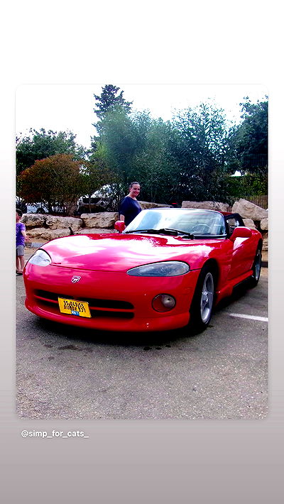 simp_for_cats_ simp_for_cats_ archive video