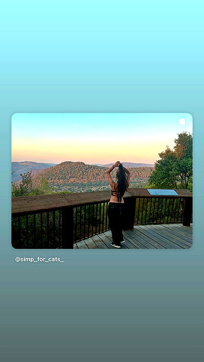 simp_for_cats_ simp_for_cats_ archive video