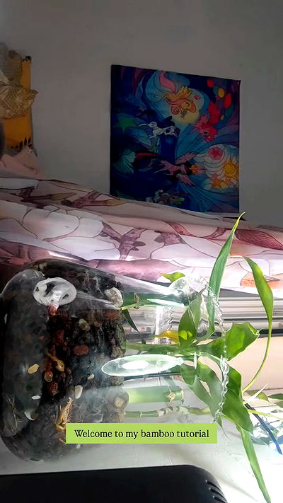 1justsabi 1justsabi archive video