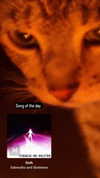 zz.eazoning Altpins Profile Picture