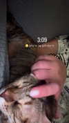 shay_atia123 Altpins Profile Picture