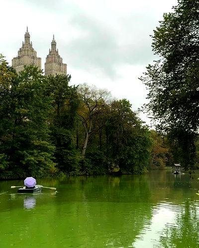 iambohema.v2 iambohema.v2 archive video