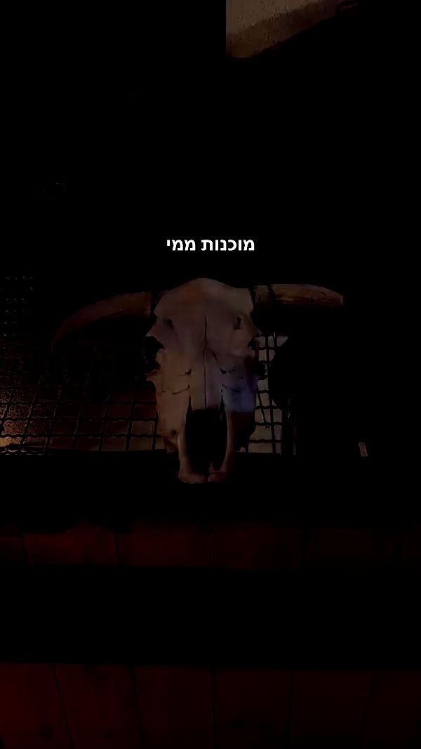 napopo_pub archive video preview