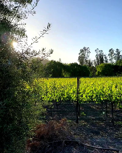 miakhalifa miakhalifa archive video