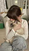shinomayaa Altpins Profile Picture