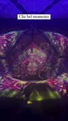 calyen Altpins Profile Picture