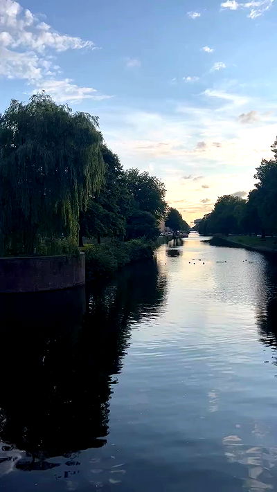 bakedsloths bakedsloths archive video