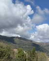 _mashachka_ Altpins Profile Picture