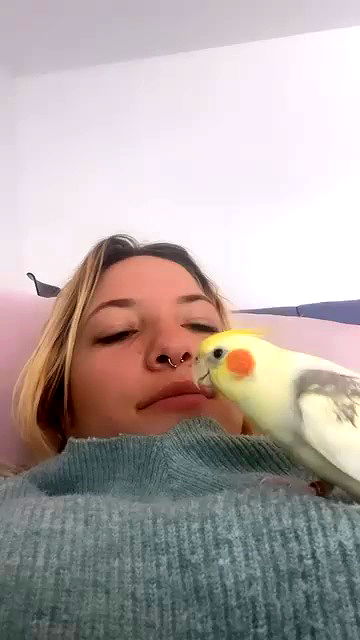 tinapavlov.sky tinapavlov.sky archive video