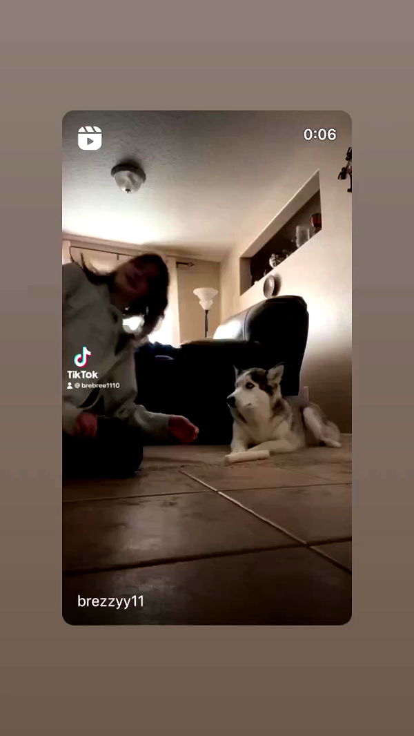 _animechika_ archive video preview