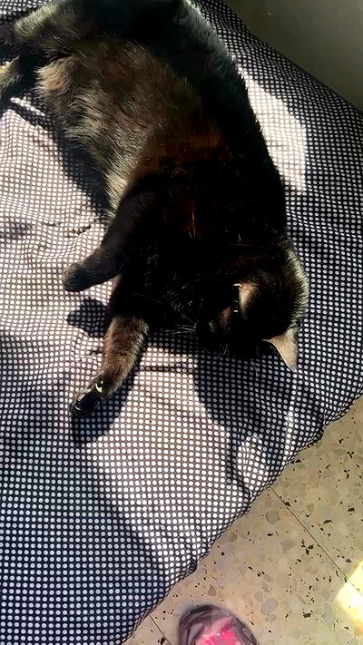 hellokittyangel666 hellokittyangel666 archive video