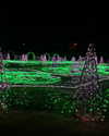 noam_iluz Altpins Profile Picture