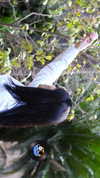 michvl_c0hen Altpins Profile Picture