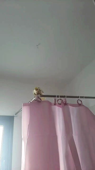 tinapavlov.sky tinapavlov.sky archive video