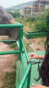 lior_lotati Altpins Profile Picture