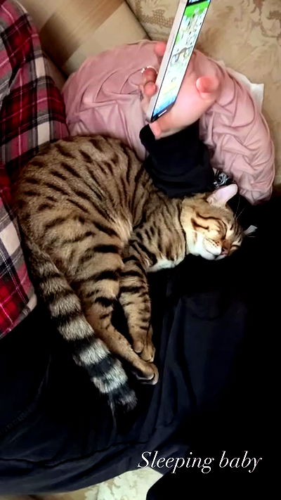 laurinchhhe laurinchhhe archive video