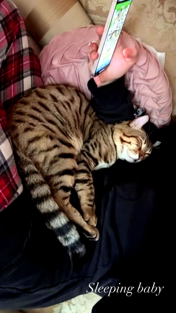 laurinchhhe archive video preview