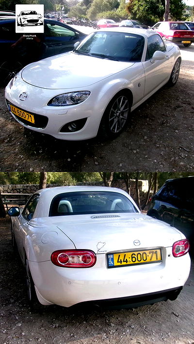 simp_for_cats_ simp_for_cats_ archive video