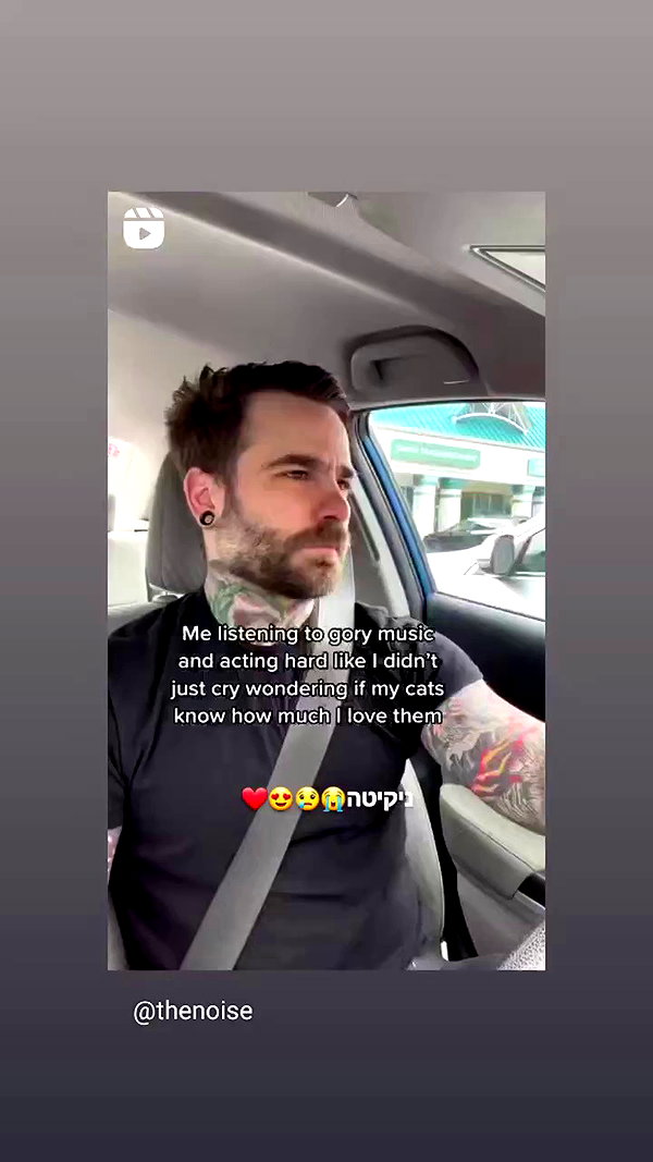 shayli_or archive video preview