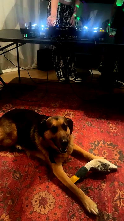 little.warren_ little.warren_ archive video