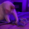 newpoort Altpins Profile Picture