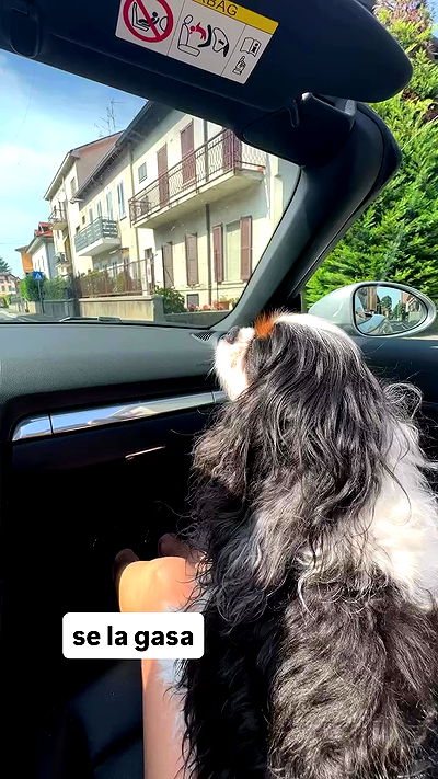 kasumi_sen kasumi_sen archive video