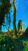 aleiisha.piixiie Altpins Profile Picture