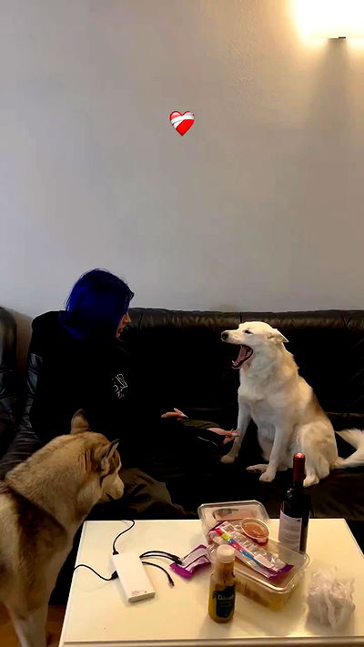 annfigma annfigma archive video