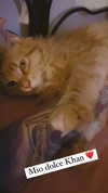 calyen Altpins Profile Picture