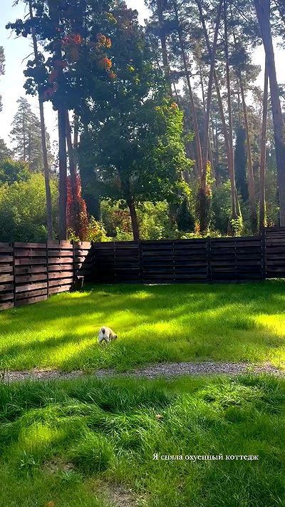 nyityam nyityam archive video