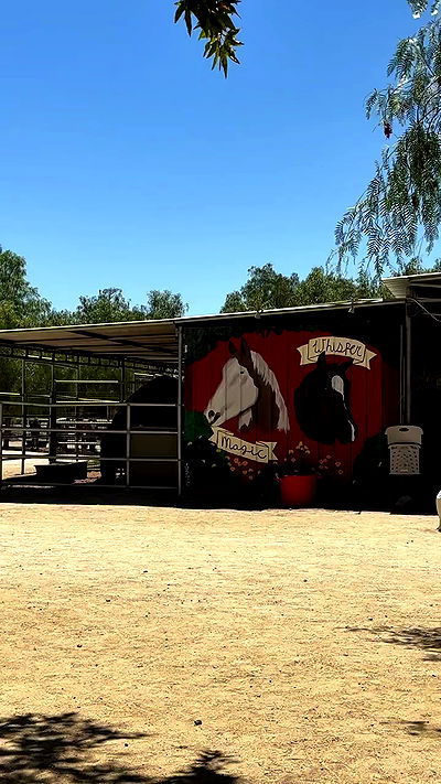 sophiemudd sophiemudd archive video