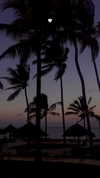 noa_mendel_ Altpins Profile Picture