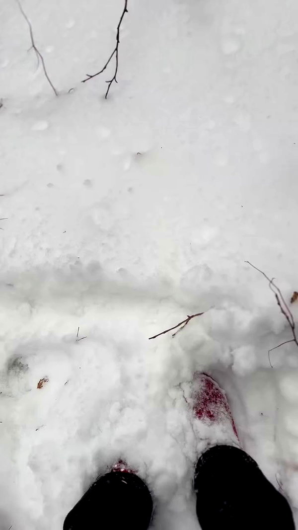 murl1kalka archive video preview