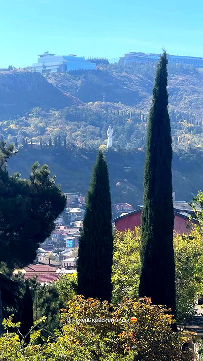 annfigma annfigma archive video